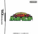 Mogitate Tingle no Barairo Rupee Land (Nintendo DS)
